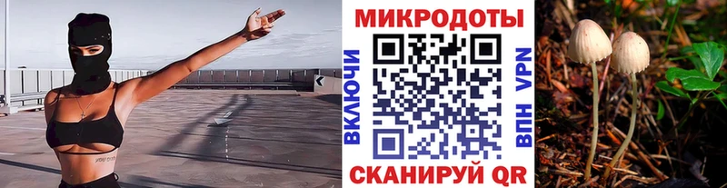 Галлюциногенные грибы ЛСД Володарск